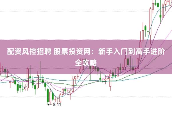 配资风控招聘 股票投资网：新手入门到高手进阶全攻略