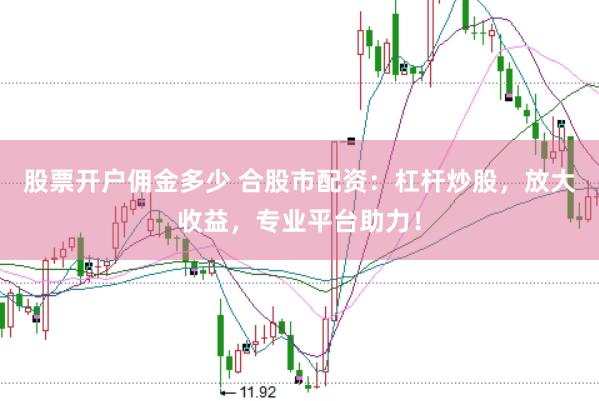 股票开户佣金多少 合股市配资：杠杆炒股，放大收益，专业平台助力！