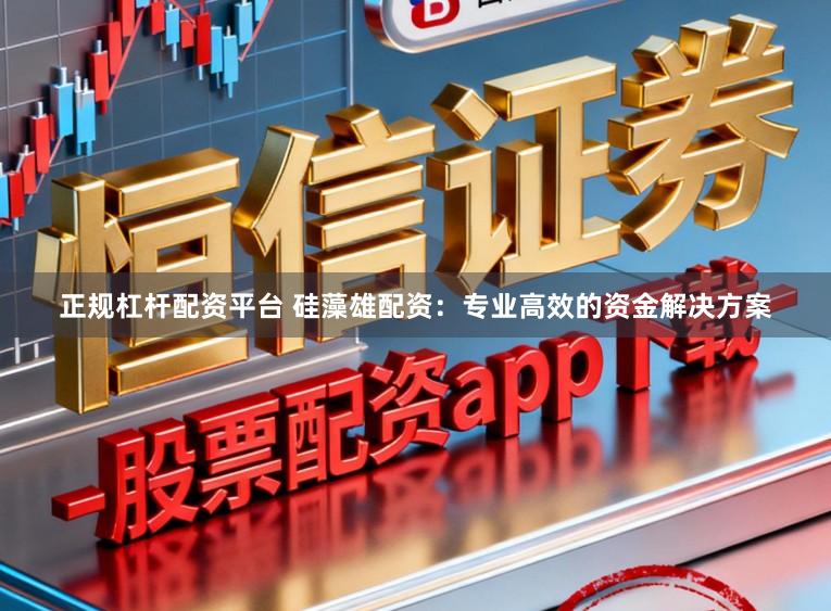 正规杠杆配资平台 硅藻雄配资：专业高效的资金解决方案