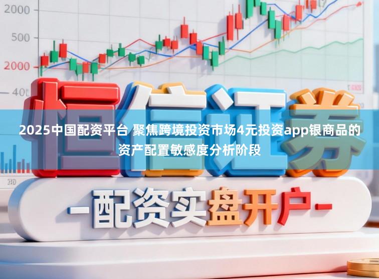 2025中国配资平台 聚焦跨境投资市场4元投资app银商品的资产配置敏感度分析阶段