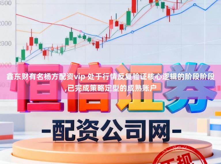 鑫东财有名杨方配资vip 处于行情反复验证核心逻辑的阶段阶段,已完成策略定型的成熟账户