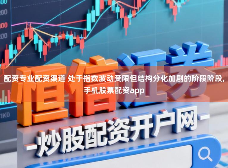 配资专业配资渠道 处于指数波动受限但结构分化加剧的阶段阶段,手机股票配资app