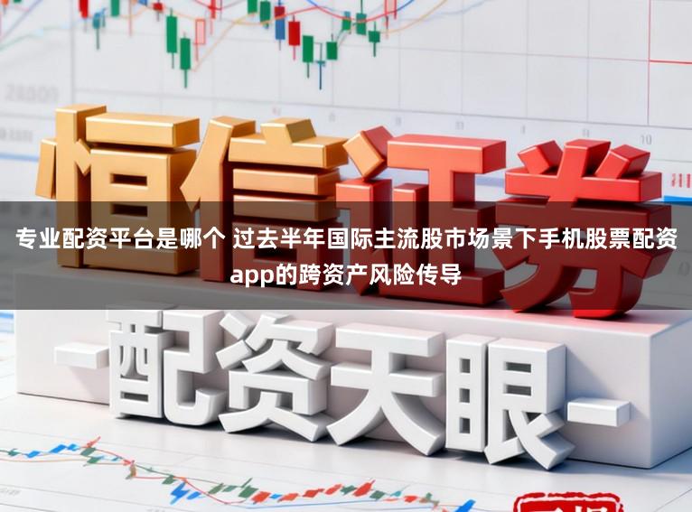 专业配资平台是哪个 过去半年国际主流股市场景下手机股票配资app的跨资产风险传导