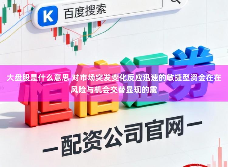 大盘股是什么意思 对市场突发变化反应迅速的敏捷型资金在在风险与机会交替显现的震