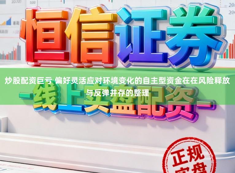 炒股配资巨亏 偏好灵活应对环境变化的自主型资金在在风险释放与反弹并存的整理