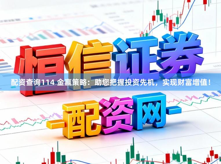 配资查询114 金赢策略：助您把握投资先机，实现财富增值！